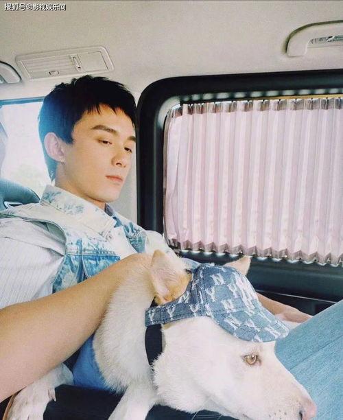 吴磊爆料感情视频大全最新,揭秘明星恋情背后的故事  第2张