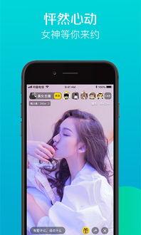 鹏哥爆料手机圈视频,手机圈最新动态，独家爆料视频深度解析